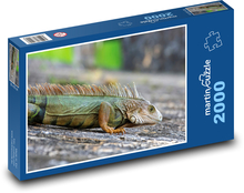 Leguán Puzzle 2000 dielikov - 90 x 60 cm