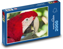 Papagáj - ara Puzzle 2000 dielikov - 90 x 60 cm