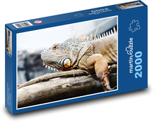 Jašterica - leguán Puzzle 2000 dielikov - 90 x 60 cm