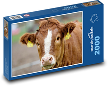 Kuh - Kalb Puzzle 2000 Teile - 90 x 60 cm