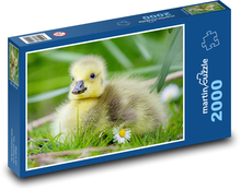 Goose - chick Puzzle 2000 pieces - 90 x 60 cm