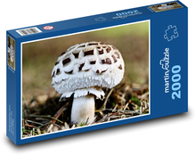 Huby - muchomůrka Puzzle 2000 dielikov - 90 x 60 cm