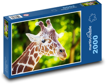 Giraffe. Puzzle 2000 Teile - 90 x 60 cm