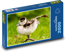 Nile goose Puzzle 2000 pieces - 90 x 60 cm