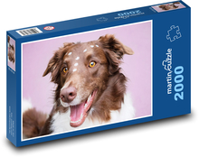 Border Collie Puzzle 2000 Teile - 90 x 60 cm