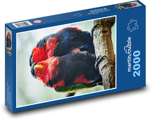 papagájotvaré Puzzle 2000 dielikov - 90 x 60 cm