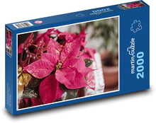 Poinsettia Puzzle 2000 Teile - 90 x 60 cm