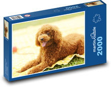 Pes - šteňa Puzzle 2000 dielikov - 90 x 60 cm