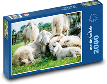 Ovce Puzzle 2000 dílků - 90 x 60 cm