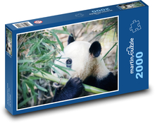 Panda Puzzle 2000 dílků - 90 x 60 cm