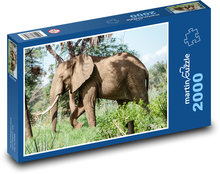 Elephant Puzzle 2000 pieces - 90 x 60 cm