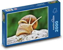 ślimak Puzzle 2000 elementów - 90x60 cm