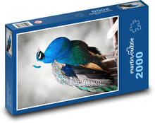 paw Puzzle 2000 elementów - 90x60 cm