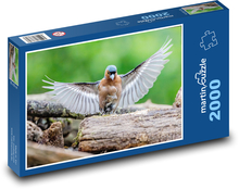 Zięba - ptak Puzzle 2000 elementów - 90x60 cm