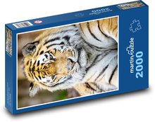Der Tiger Puzzle 2000 Teile - 90 x 60 cm
