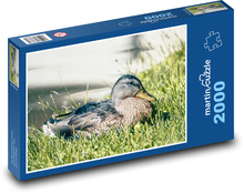 Wildente Puzzle 2000 Teile - 90 x 60 cm