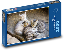 Koťata Puzzle 2000 dílků - 90 x 60 cm