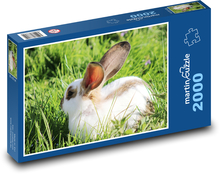 Trpasličí králik Puzzle 2000 dielikov - 90 x 60 cm