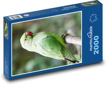 Papagei. Puzzle 2000 Teile - 90 x 60 cm