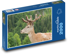 Jeleň Puzzle 2000 dielikov - 90 x 60 cm