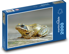 Brown Frog Puzzle 2000 pieces - 90 x 60 cm
