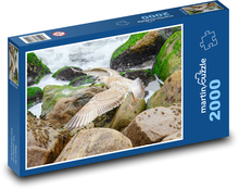 Seagull flying over the coast Puzzle 2000 pieces - 90 x 60 cm