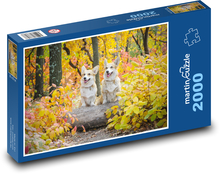 Psi - Corgi Puzzle 2000 Teile - 90 x 60 cm