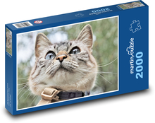 Sivá mačka Puzzle 2000 dielikov - 90 x 60 cm