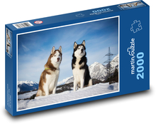 Sibiřský husky - pes Puzzle 2000 dílků - 90 x 60 cm