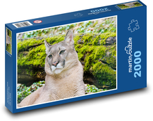 Puma - divoká šelma Puzzle 2000 dílků - 90 x 60 cm