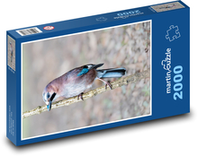 Vták - jay Puzzle 2000 dielikov - 90 x 60 cm