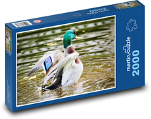 Kaczka Puzzle 2000 elementów - 90x60 cm