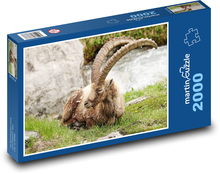 Kozorožec horský Puzzle 2000 dílků - 90 x 60 cm