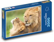Löwe und Löwin Puzzle 2000 Teile - 90 x 60 cm