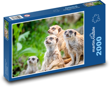 Erdmännchen Puzzle 2000 Teile - 90 x 60 cm