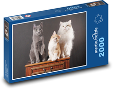 Cats - Pets Puzzle 2000 pieces - 90 x 60 cm