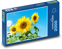 Słonecznik Puzzle 2000 elementów - 90x60 cm