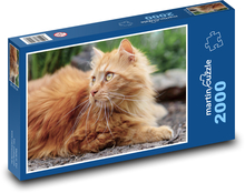 Perzská mačka Puzzle 2000 dielikov - 90 x 60 cm
