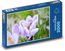 Krokusy - včela Puzzle 2000 dielikov - 90 x 60 cm