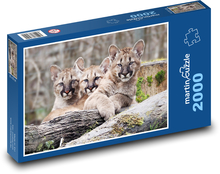 Puma Puzzle 2000 dílků - 90 x 60 cm
