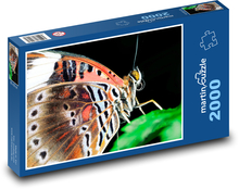 Goldäugiger Schmetterling Puzzle 2000 Teile - 90 x 60 cm