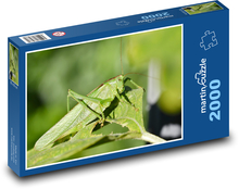 Saranče - hmyz Puzzle 2000 dílků - 90 x 60 cm