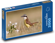 Tyran bentevi - ptak Puzzle 2000 elementów - 90x60 cm