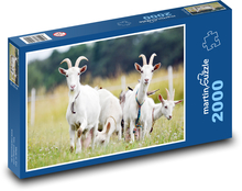 Ziegen Puzzle 2000 Teile - 90 x 60 cm