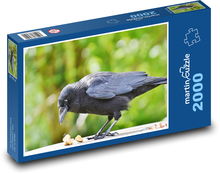 Wrona - ptak Puzzle 2000 elementów - 90x60 cm