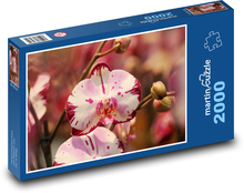 Orchid Flowers Puzzle 2000 pieces - 90 x 60 cm