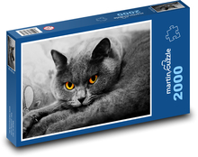 British Longhaired Cat Puzzle 2000 pieces - 90 x 60 cm
