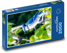 Modrý pták Puzzle 2000 dílků - 90 x 60 cm