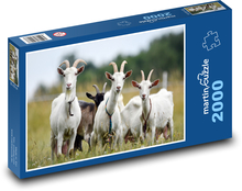 Herd of goats Puzzle 2000 pieces - 90 x 60 cm
