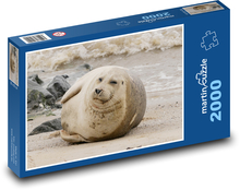 Tuleň Puzzle 2000 dielikov - 90 x 60 cm